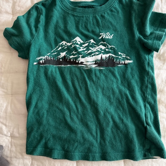 Old Navy Other - Old Navy Green Mountain 'Wild' Graphic Tee